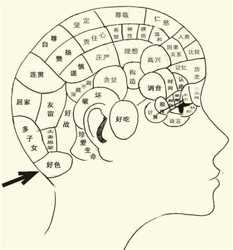 頭骨相學